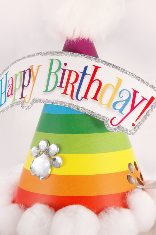 Close-up of rainbow striped dog birthday hat with paw-print jewels and Happy Birthday banner