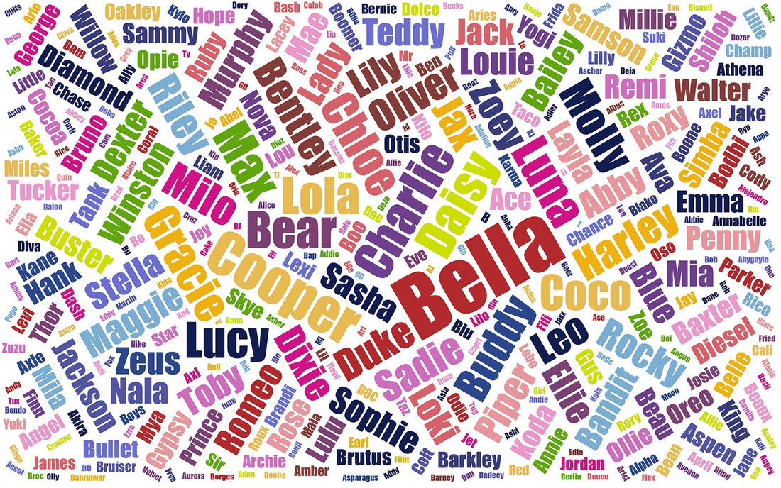 Unique Dog Name Ideas: The Ultimate Inspiration List