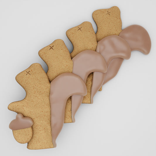Squirrel named Ginger Cookies for Dogs
