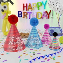 Birthday Hats for Dogs-Customized